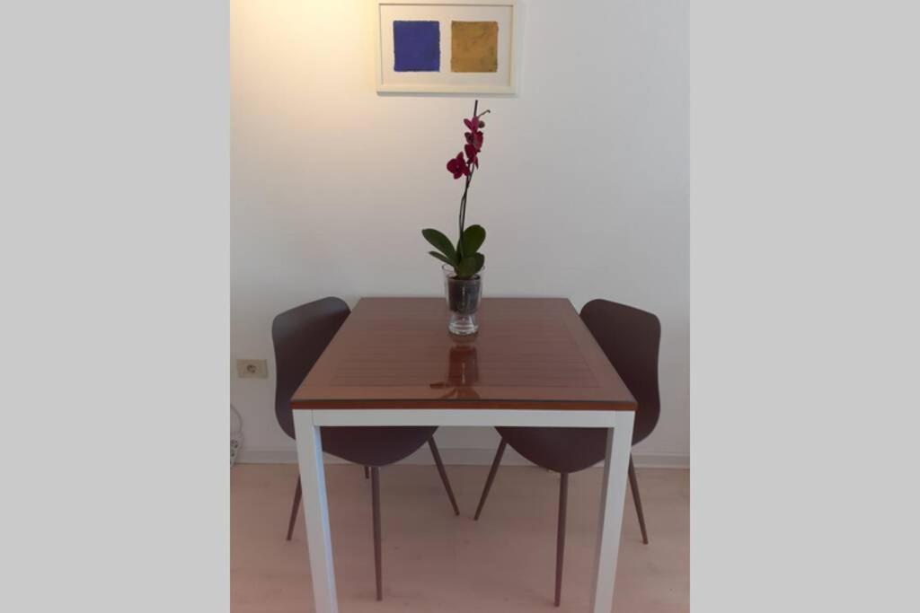 Comfortable Studio In Old Town Labin  Exterior photo